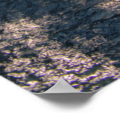 Linville Falls Poster (Ecke)