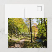 Linville Falls Postkarte (Vorne/Hinten)