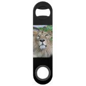 Lion20150605 Speedflaschenöffner (Rückseite)