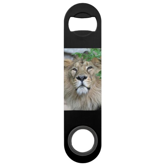 Lion20150605 Speedflaschenöffner (Vorderseite)