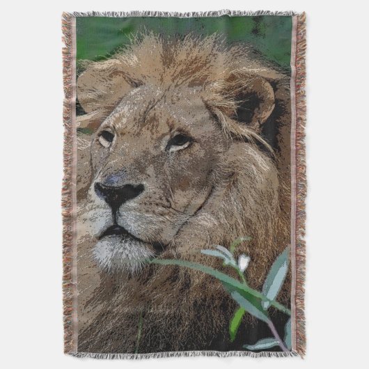 Lion20150805 Decke (Vorderseite Vertikal)