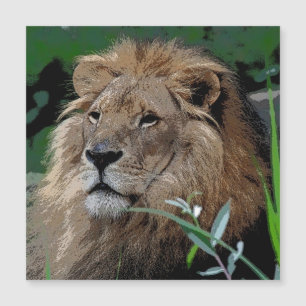 Lion20150805 Magnetkarte