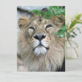 Lion 002 feiertagskarte (Stehend Vorderseite)