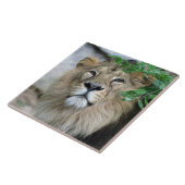 Lion 002 fliese (Seite)
