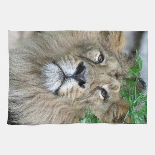 Lion 002 geschirrtuch (Horizontal)