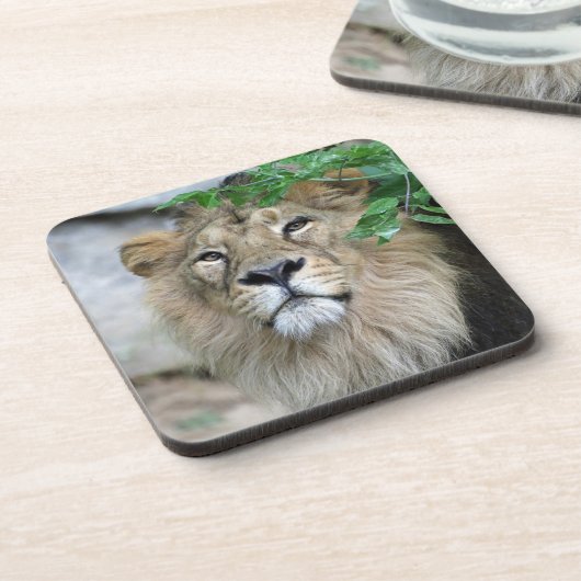 Lion 002 getränkeuntersetzer (Linke Seite)