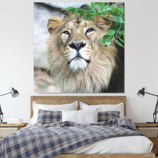Lion 002 leinwanddruck (Insitu (Schlafzimmer))