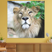 Lion 002 leinwanddruck (Insitu (Wohnzimmer))