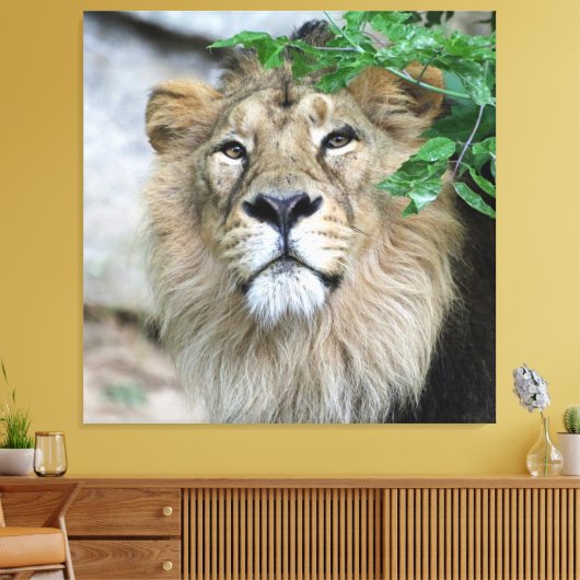 Lion 002 leinwanddruck (Insitu (Wohnzimmer))