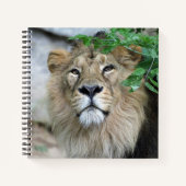 Lion 002 notizblock (Vorderseite)