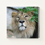 Lion 002 notizblock (Rückseite)