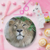 Lion 002 pappteller (Party)