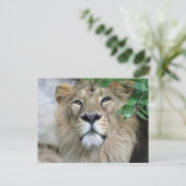 Lion 002 postkarte (Stehend Vorderseite)