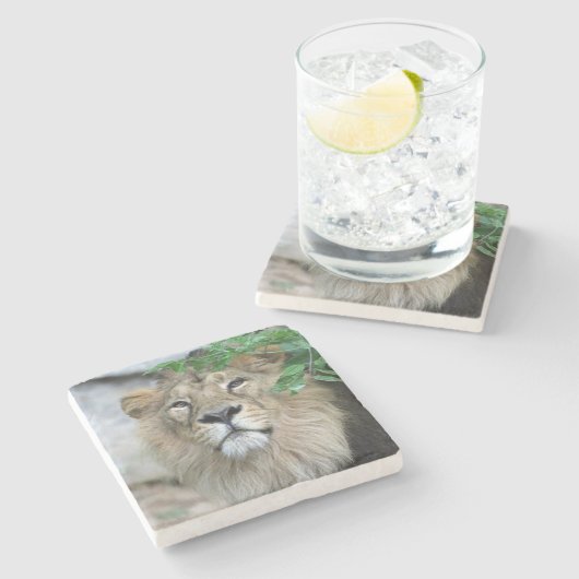 Lion 002 steinuntersetzer (Seitenansicht)