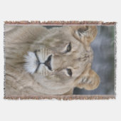 Lion 004 decke (Vorderseite)