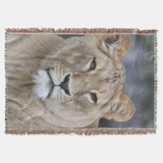 Lion 004 decke (Vorderseite)