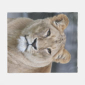 Lion 004 fleecedecke (Vorderseite (Horizontal))