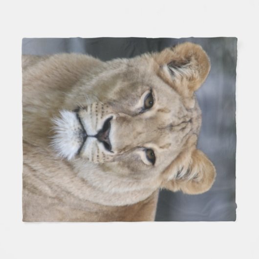 Lion 004 fleecedecke (Vorderseite (Horizontal))