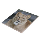 Lion 004 fliese (Seite)