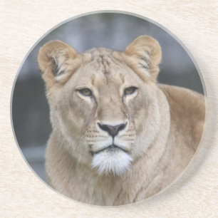 Lion 004 getränkeuntersetzer