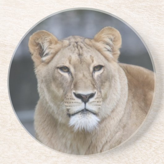 Lion 004 getränkeuntersetzer (Vorne)