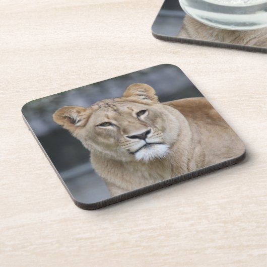 Lion 004 getränkeuntersetzer (Linke Seite)