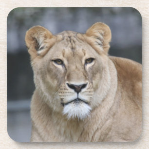 Lion 004 getränkeuntersetzer