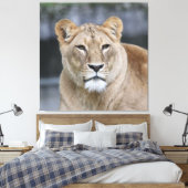 Lion 004 leinwanddruck (Insitu (Schlafzimmer))