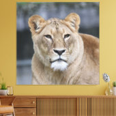 Lion 004 leinwanddruck (Insitu (Wohnzimmer))