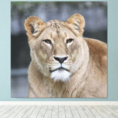 Lion 004 leinwanddruck (Insitu (Holzboden))