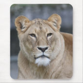 Lion 004 mousepad (Vorne)