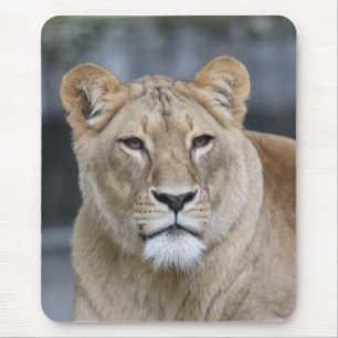 Lion 004 mousepad
