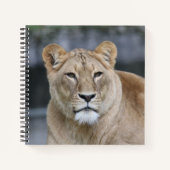 Lion 004 notizblock (Vorderseite)