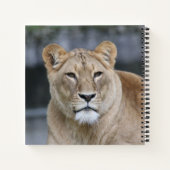 Lion 004 notizblock (Rückseite)