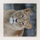 Lion 004 puzzle (Horizontal)