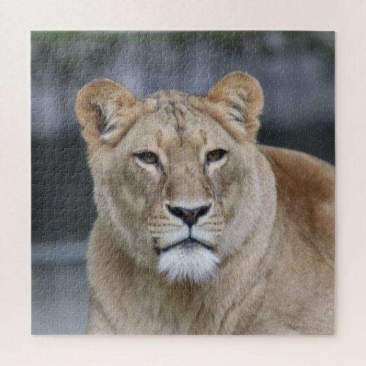 Lion 004 puzzle (Vertikal)