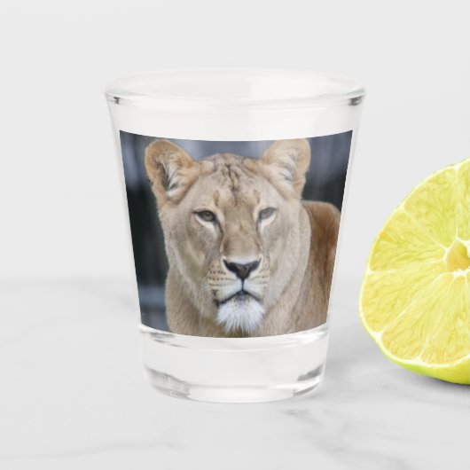 Lion 004 schnapsglas (Vorderseite)