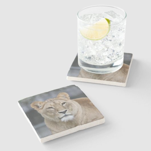 Lion 004 steinuntersetzer (Seitenansicht)