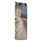 Lion 004 thermosbecher (Nach rechts gedreht)