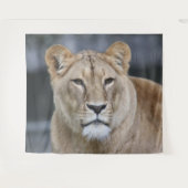 Lion 004 wandteppich (Vorderseite (Horizontal))