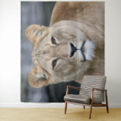 Lion 004 wandteppich (Beispiel)