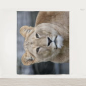 Lion 004 wandteppich (Vorderseite)