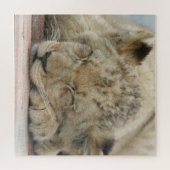 Lion 009 von JAMFoto Puzzle (Horizontal)