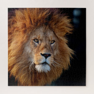 Lion 010 von JAMFoto Puzzle