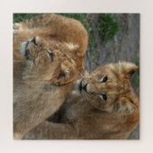 Lion 011 von JAMFoto Puzzle (Horizontal)