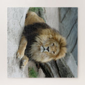 Lion 012 von JAMFoto Puzzle (Horizontal)