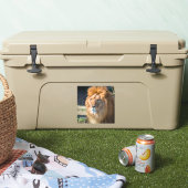 Lion 013 aufkleber (Kühler)