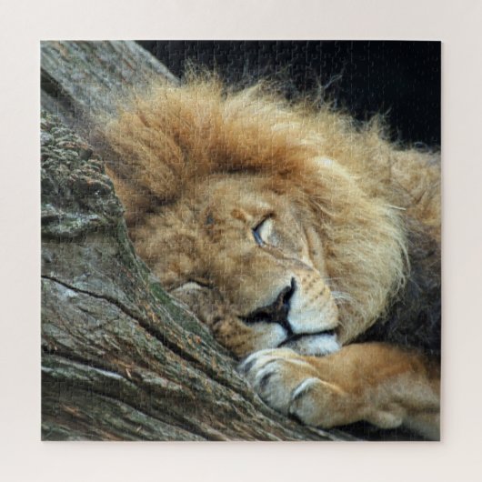 Lion 013 von JAMFoto Puzzle (Vertikal)