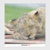 Lion 014 aufkleber (Blatt)