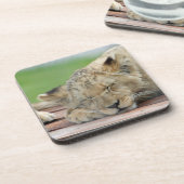 Lion 014 getränkeuntersetzer (Linke Seite)